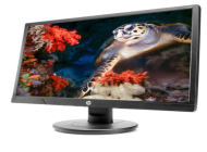 MONITOR LED PHIIPS 19  HDMI